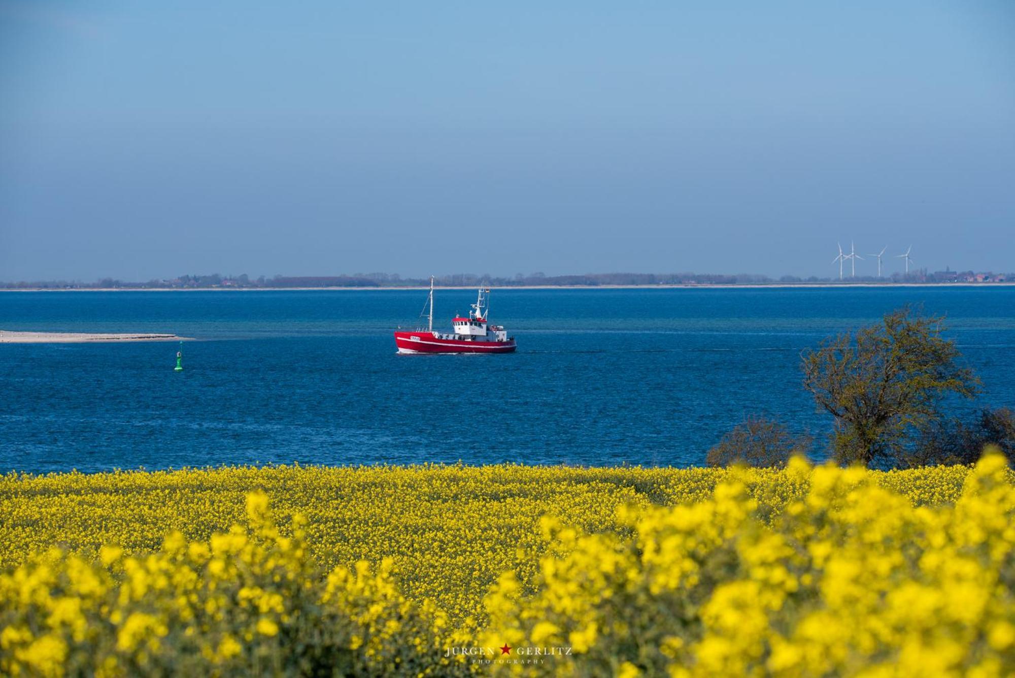Ferienwohnung Brueckenblick Kappeln Esterno foto